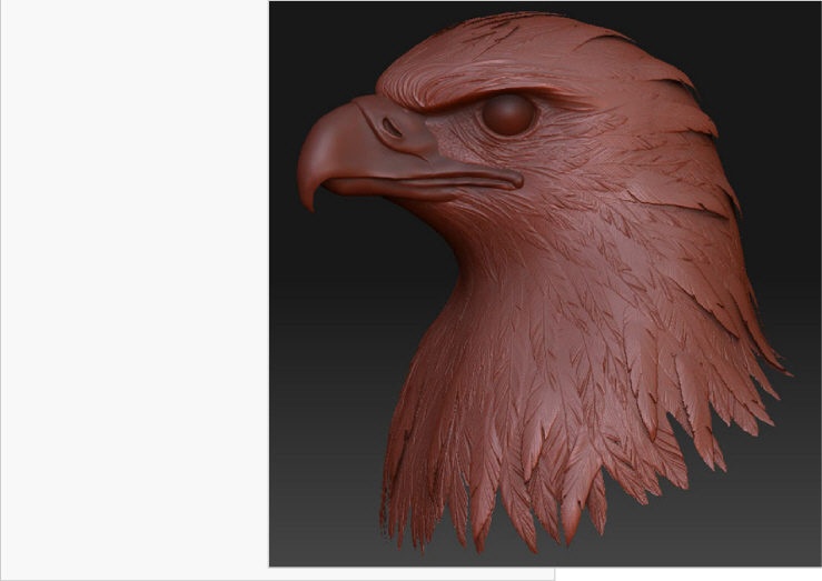 Tutorial__Bird_of_Prey1_16_00_rot.jpg