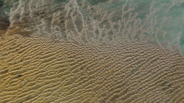 Earth010sm.jpg