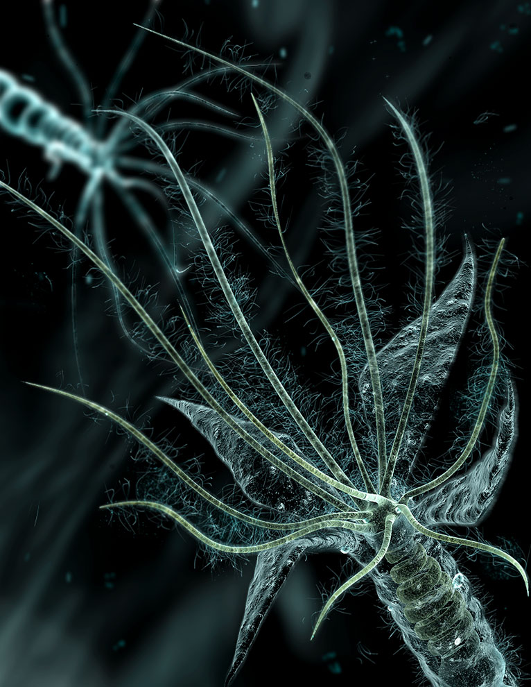 zMicroscope_013.jpg