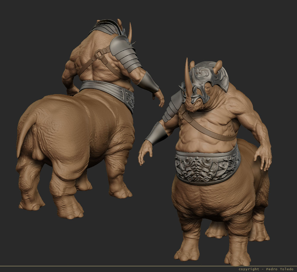 rhino-10.jpg