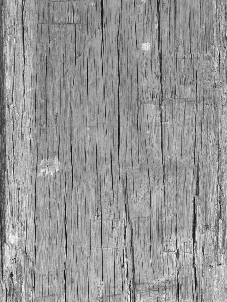 WoodRough0046_1_L_Alpha.jpg