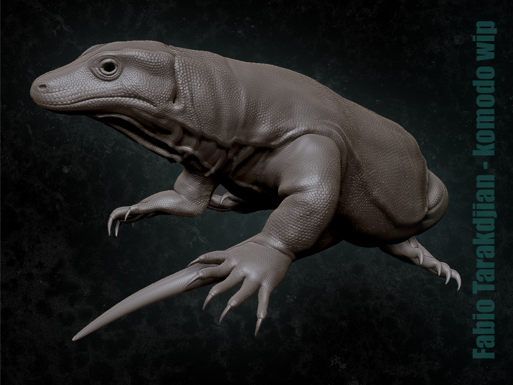 komodowip41.jpg