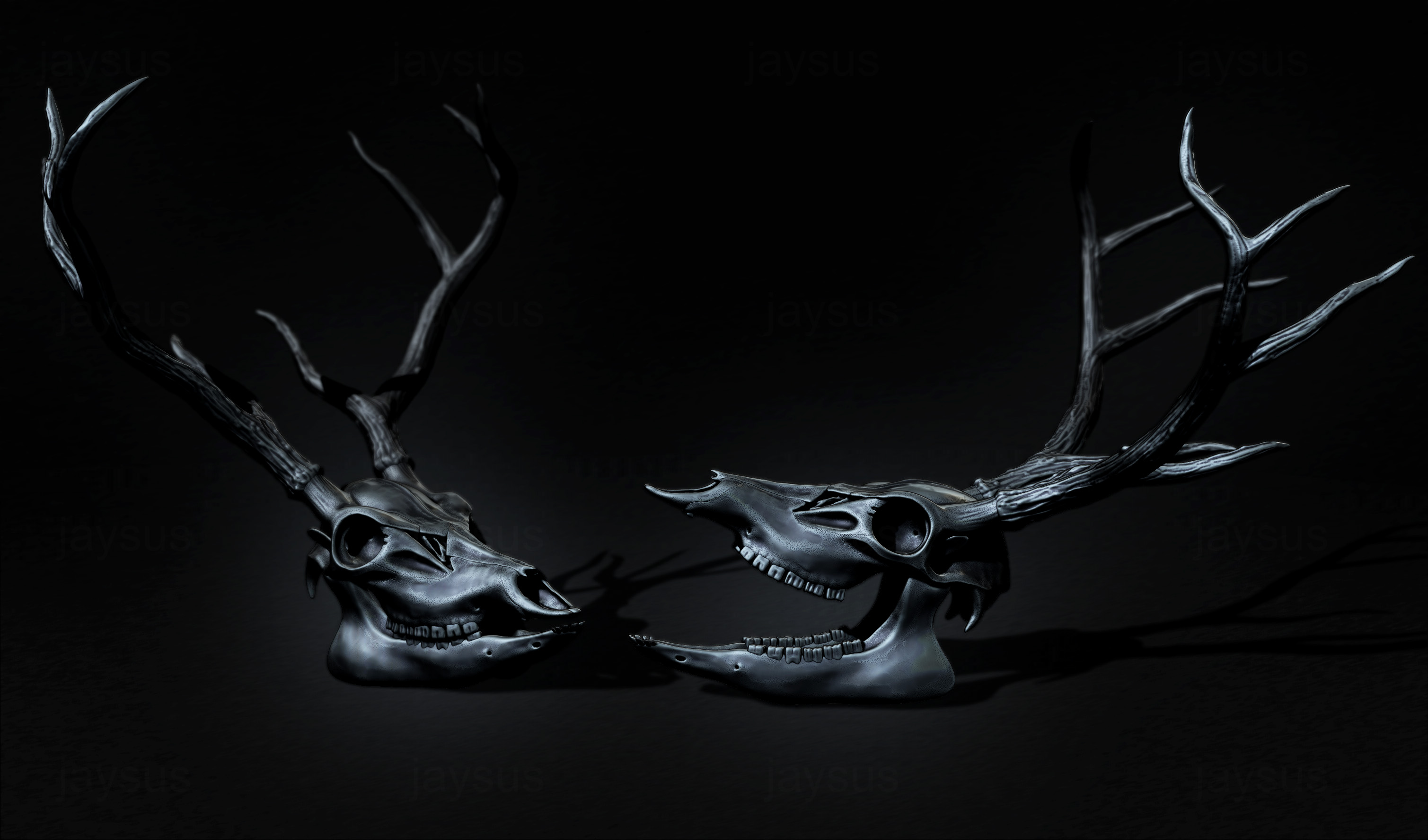 BuckSkull_A07_cc.jpg