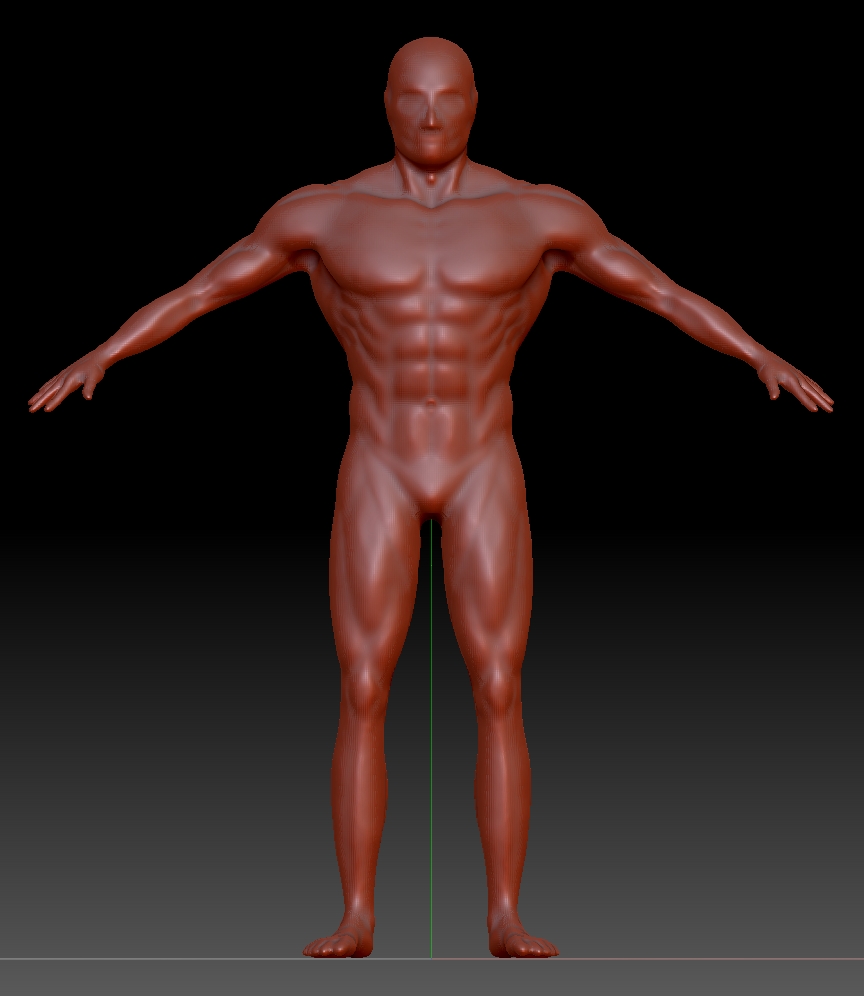 human_male_ideal_v2_front.jpg