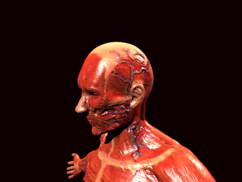 head34skinned.jpg