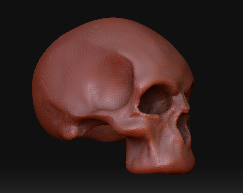 wip_skull2_1.jpg