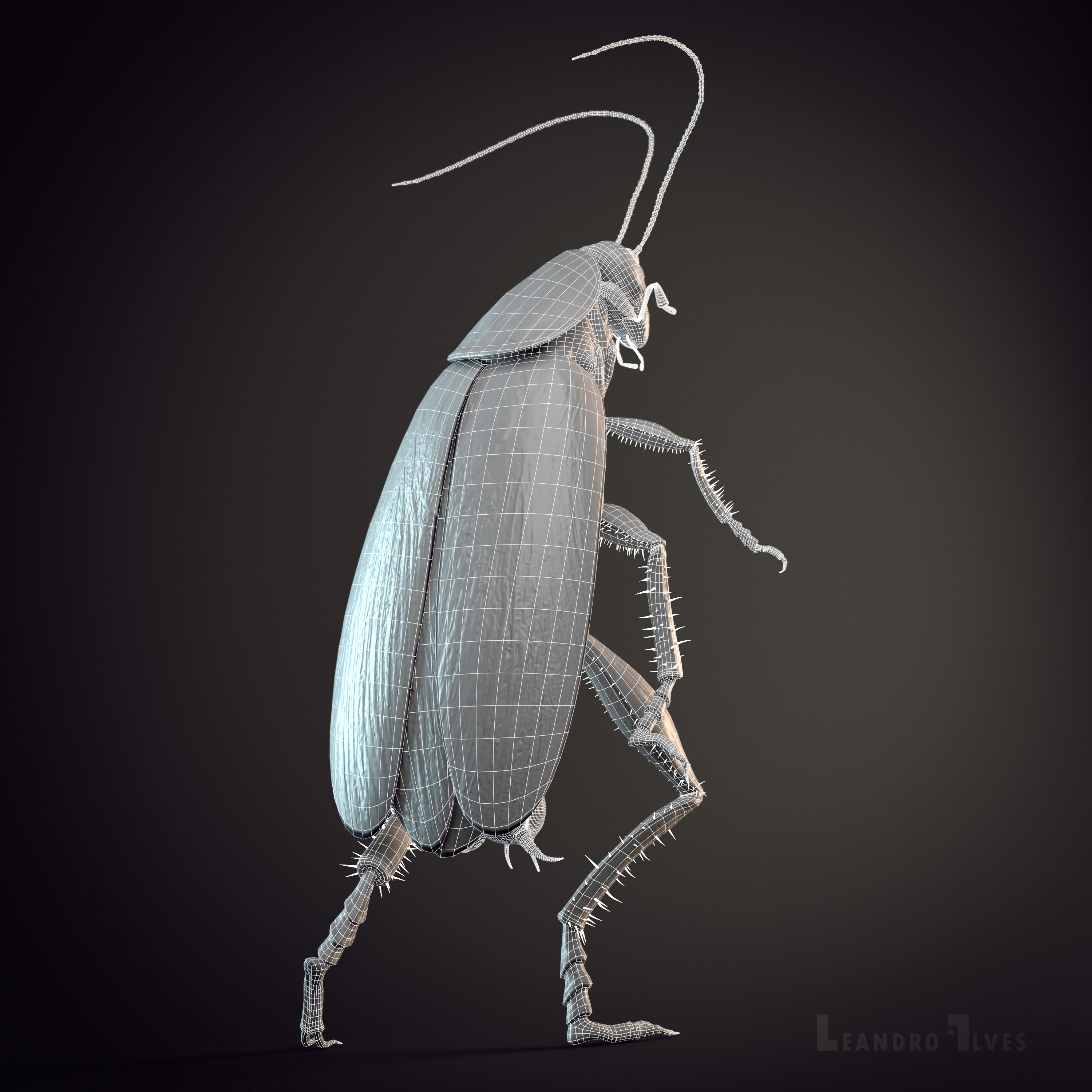 WIREFRAME_02.jpg