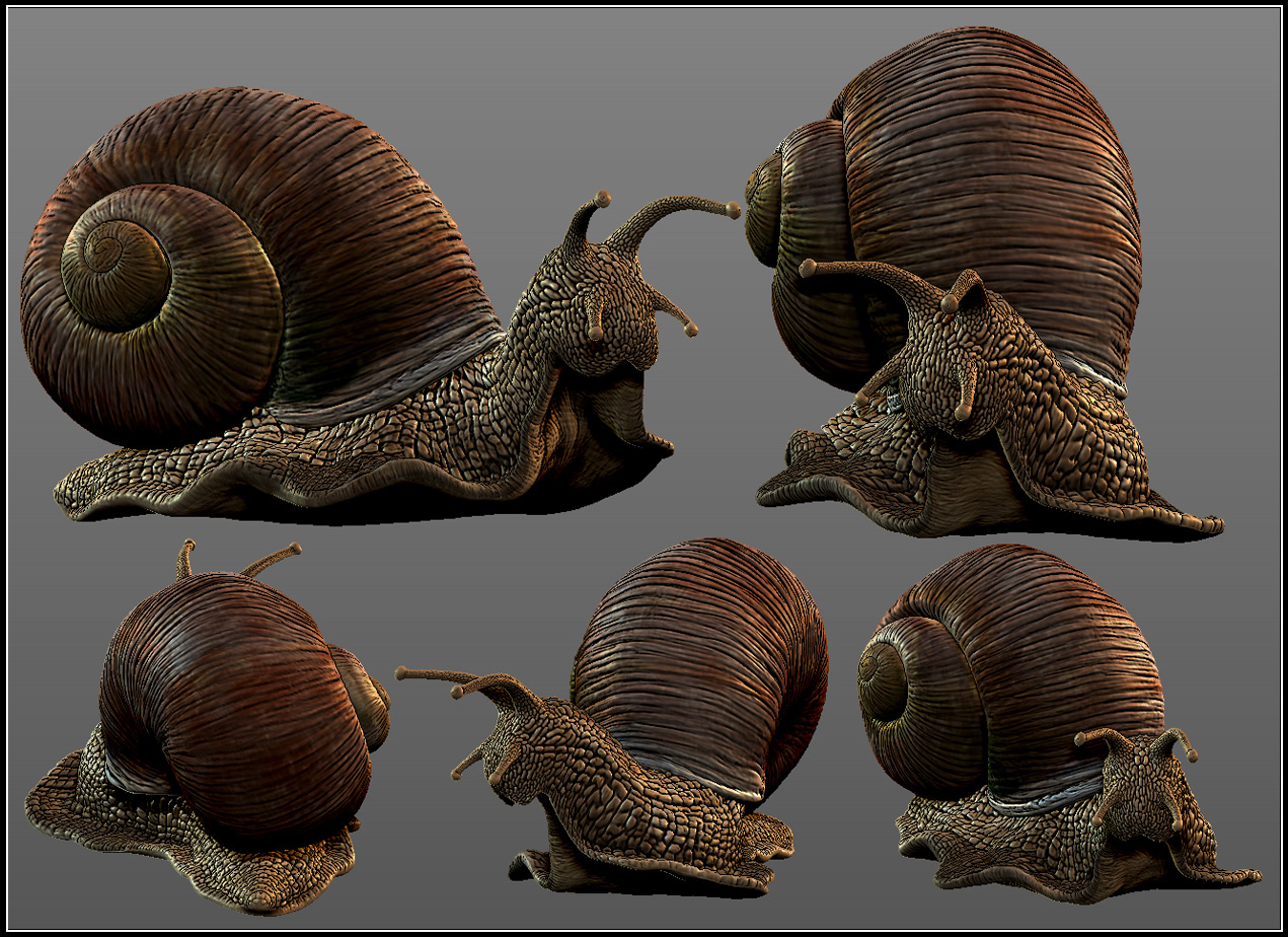 snail_ZB05_.jpg