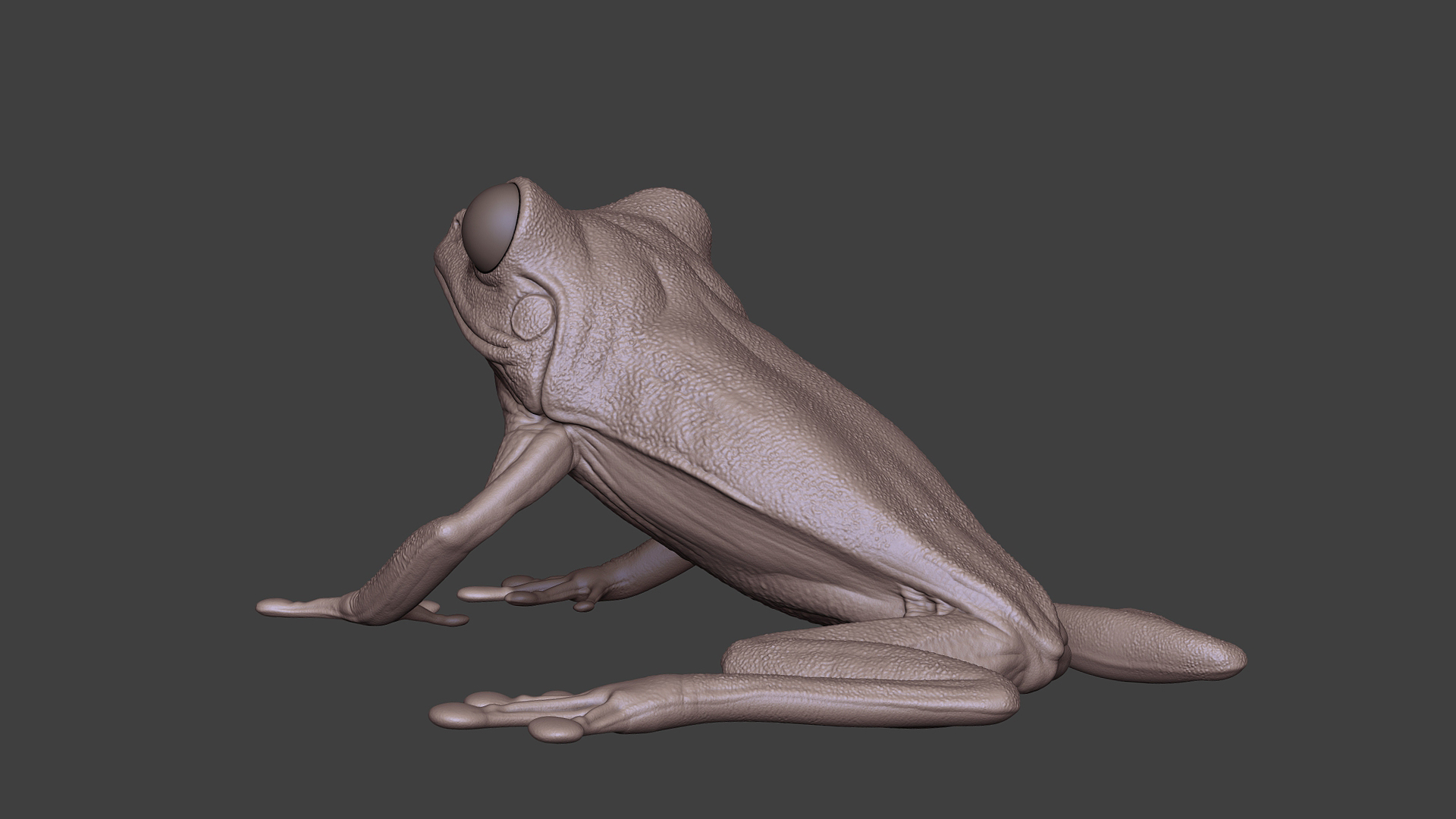 LeafFrog_08.jpg