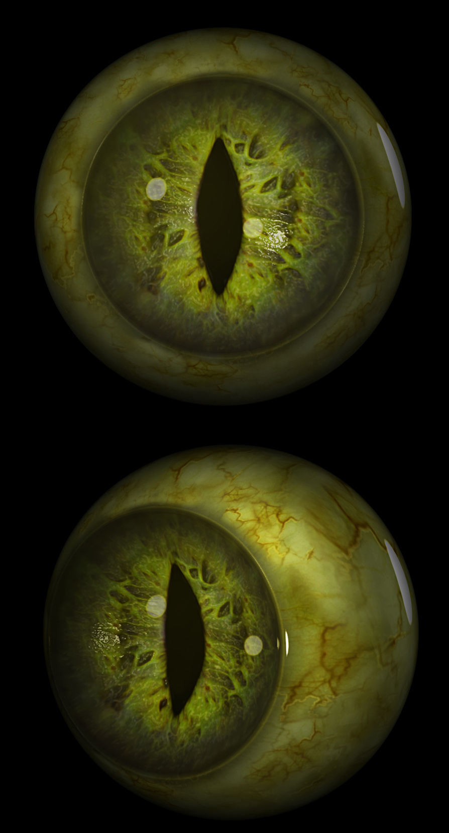 eyes.jpg