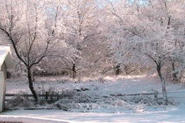FEBSNOW2030501.jpg