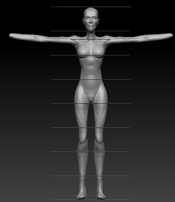 proportions.jpg