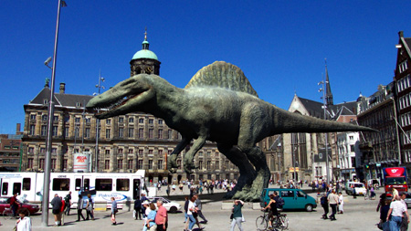 spino_op_dam.jpg