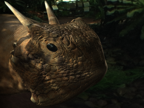 0002_lizard_000.jpg