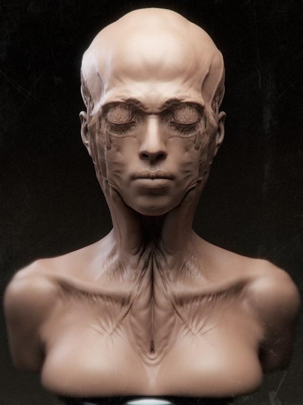 Render2_result