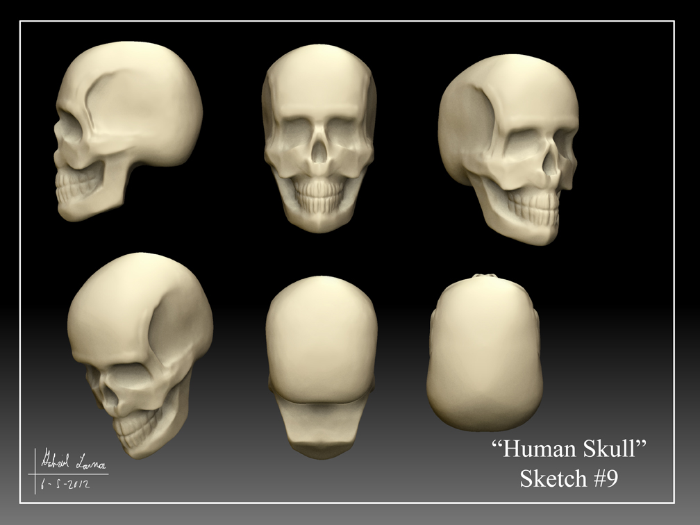 Human_Skull_Sketch_09.jpg