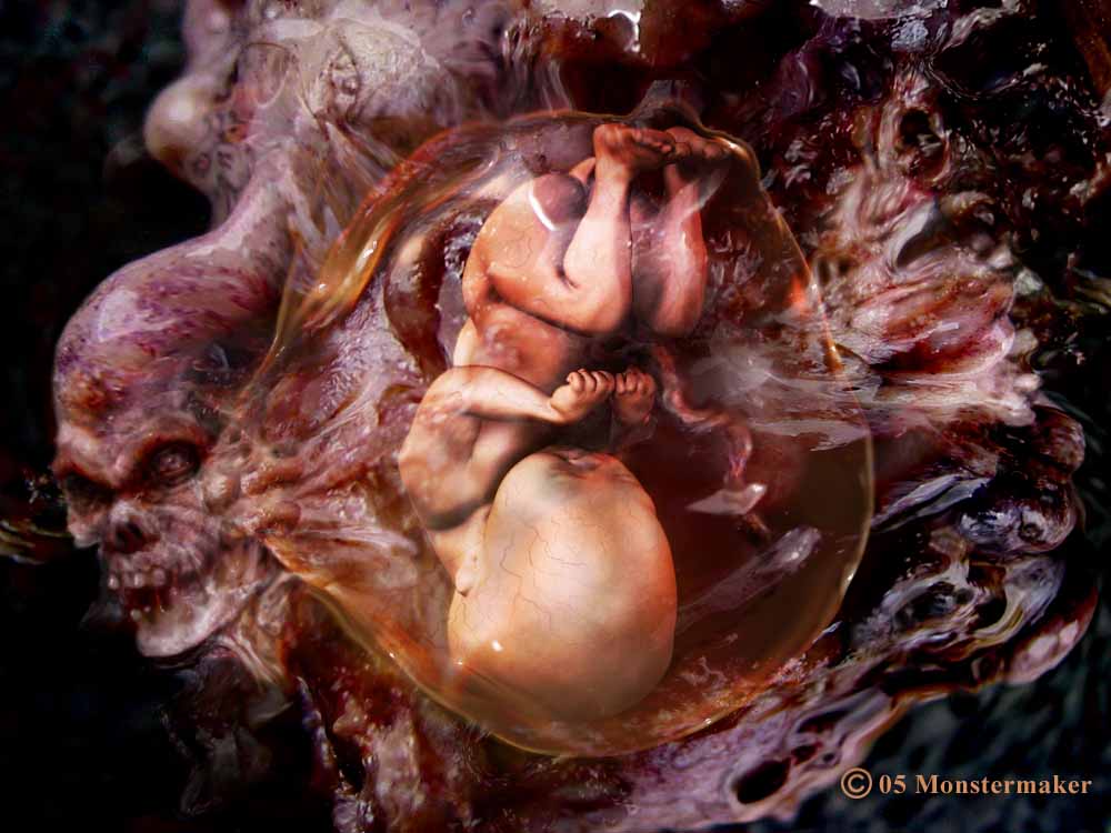 fetus plus low rz.jpg