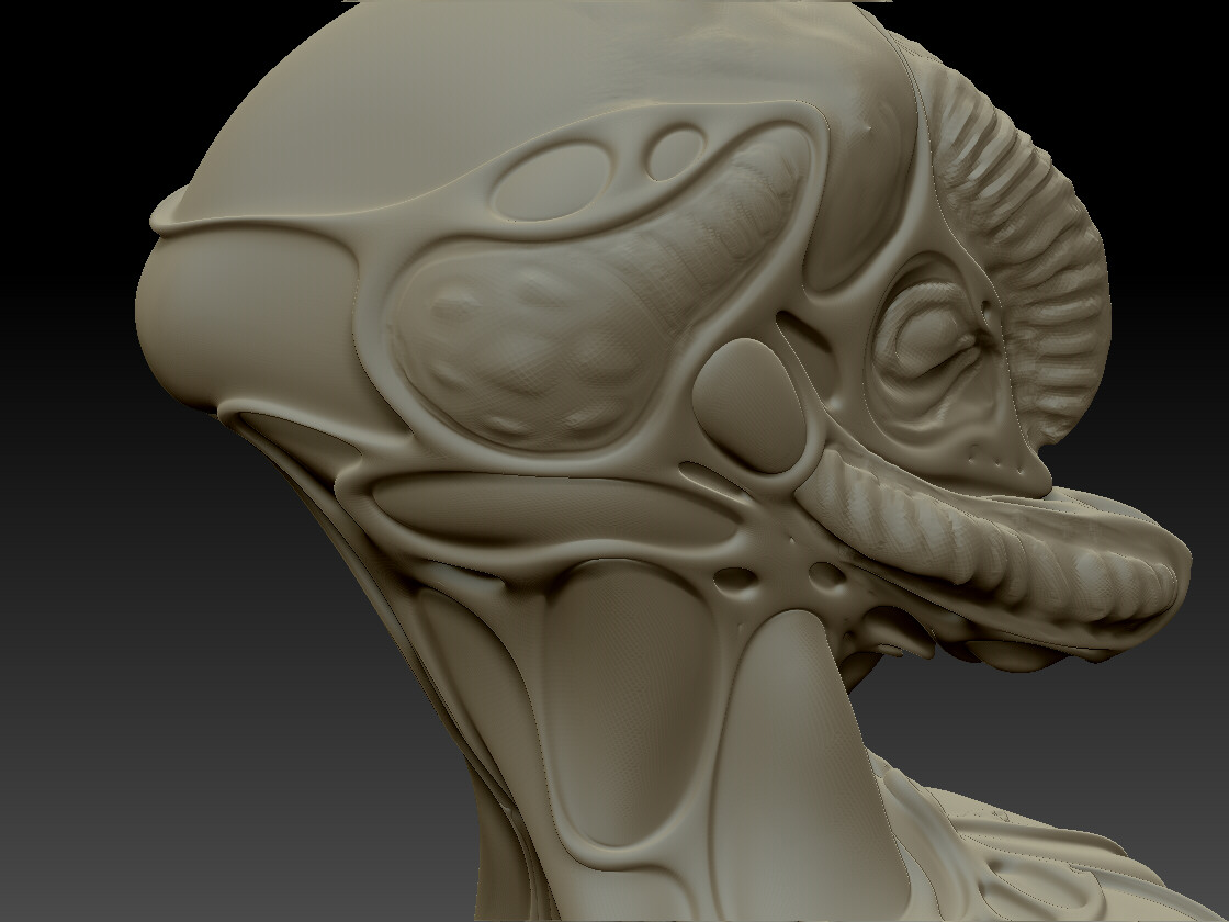 Jan_1hr_per_day_10.JPG