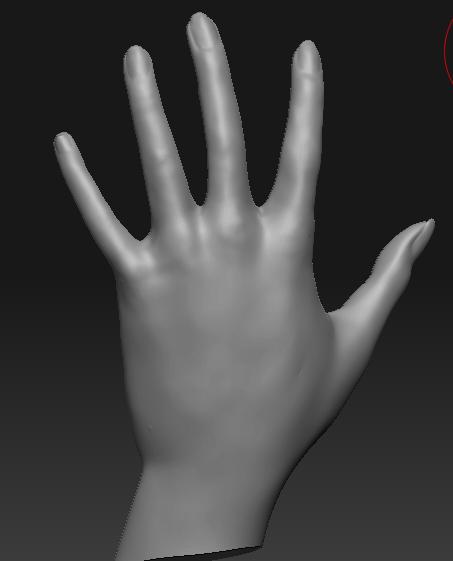 the hand.jpg