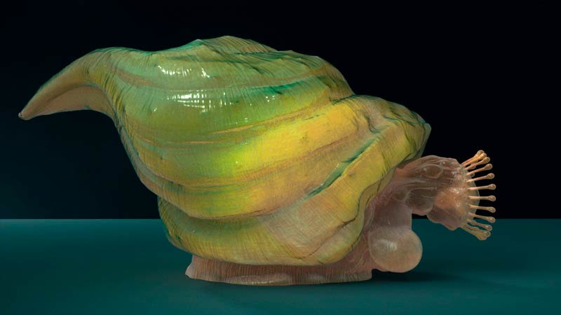 snailRender05.jpg