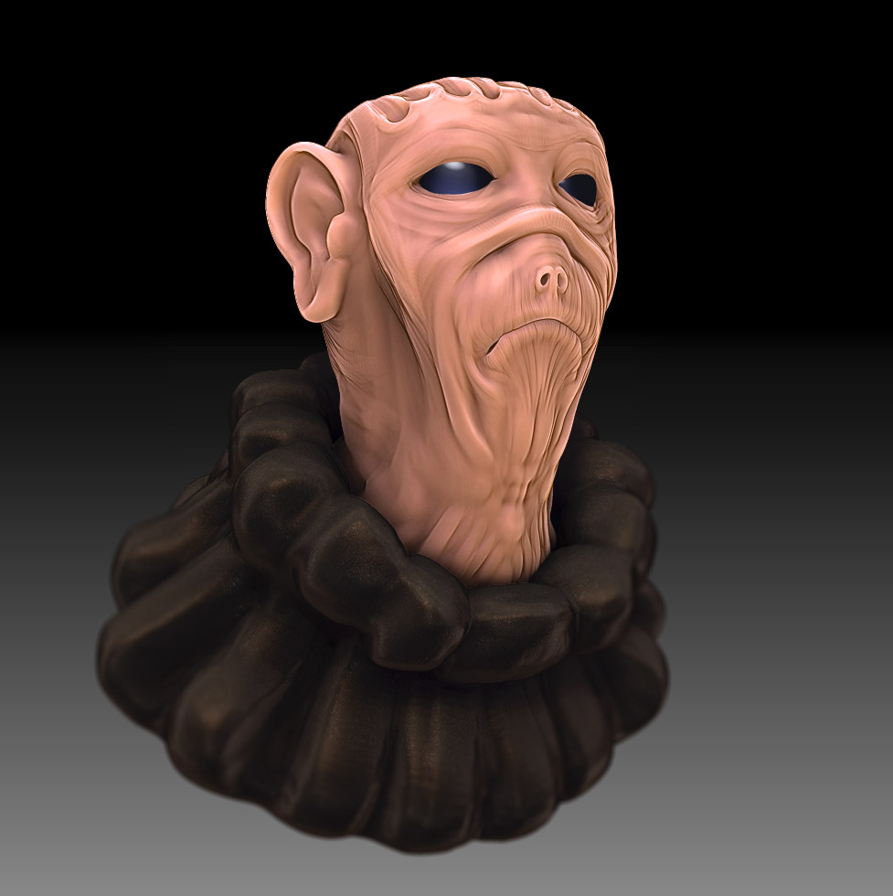 TurkeyFace2.jpg