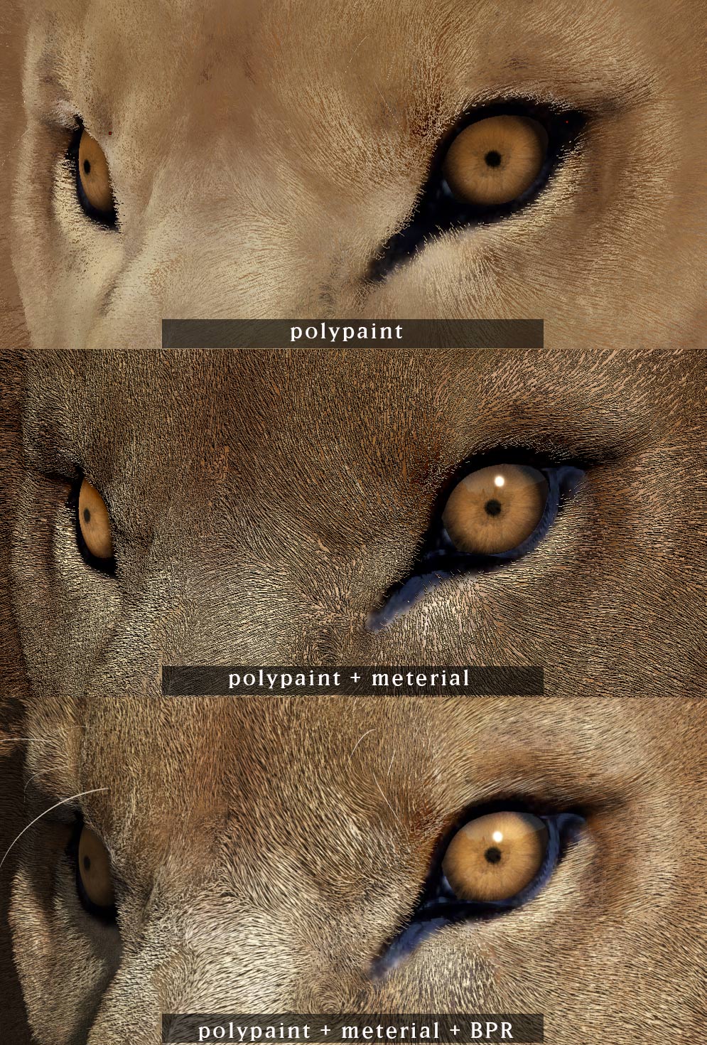 EYE_polypaint1.jpg