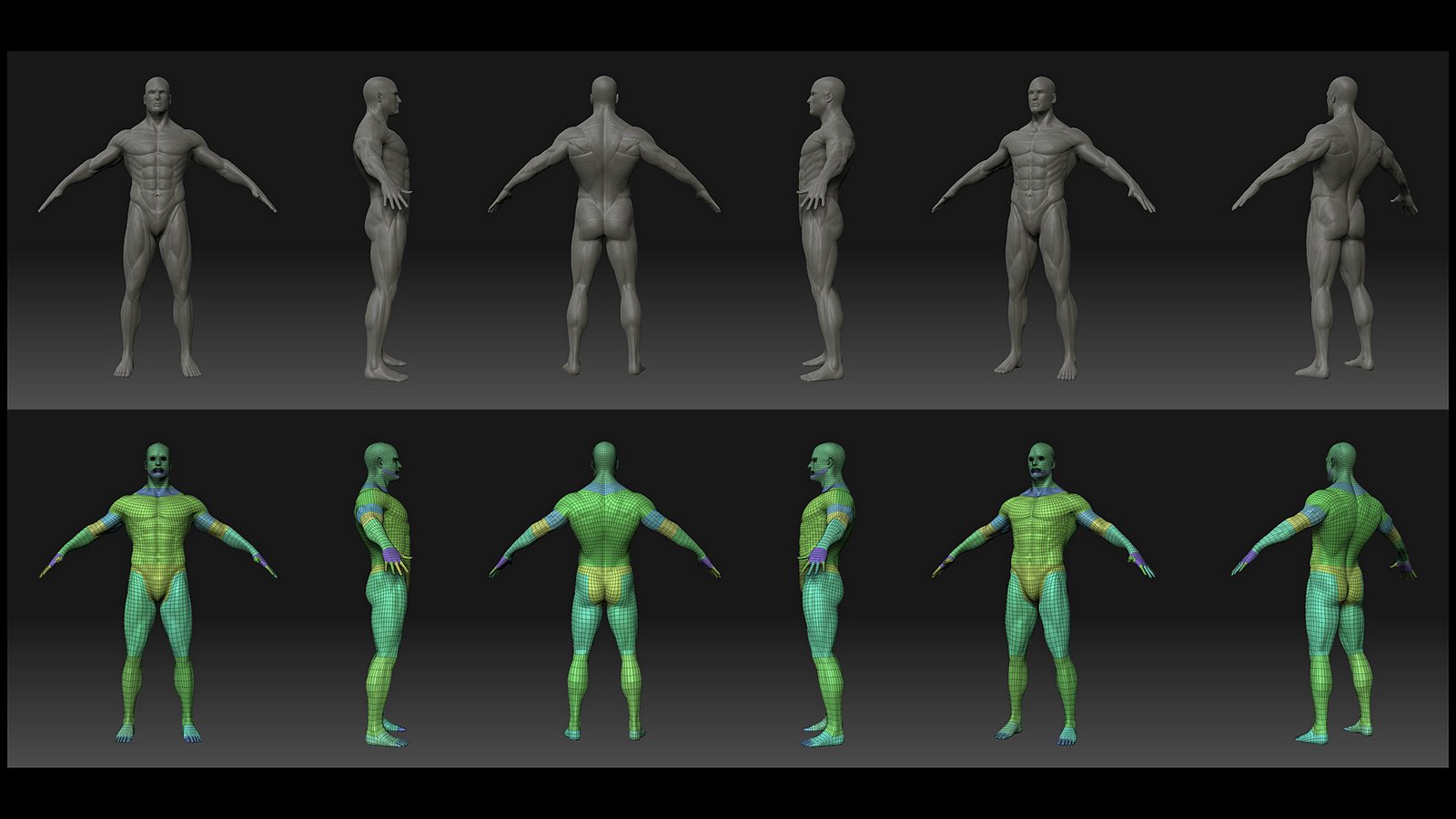 AthleticMale_WIP_1920_1080.jpg