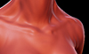 Thumb.jpg