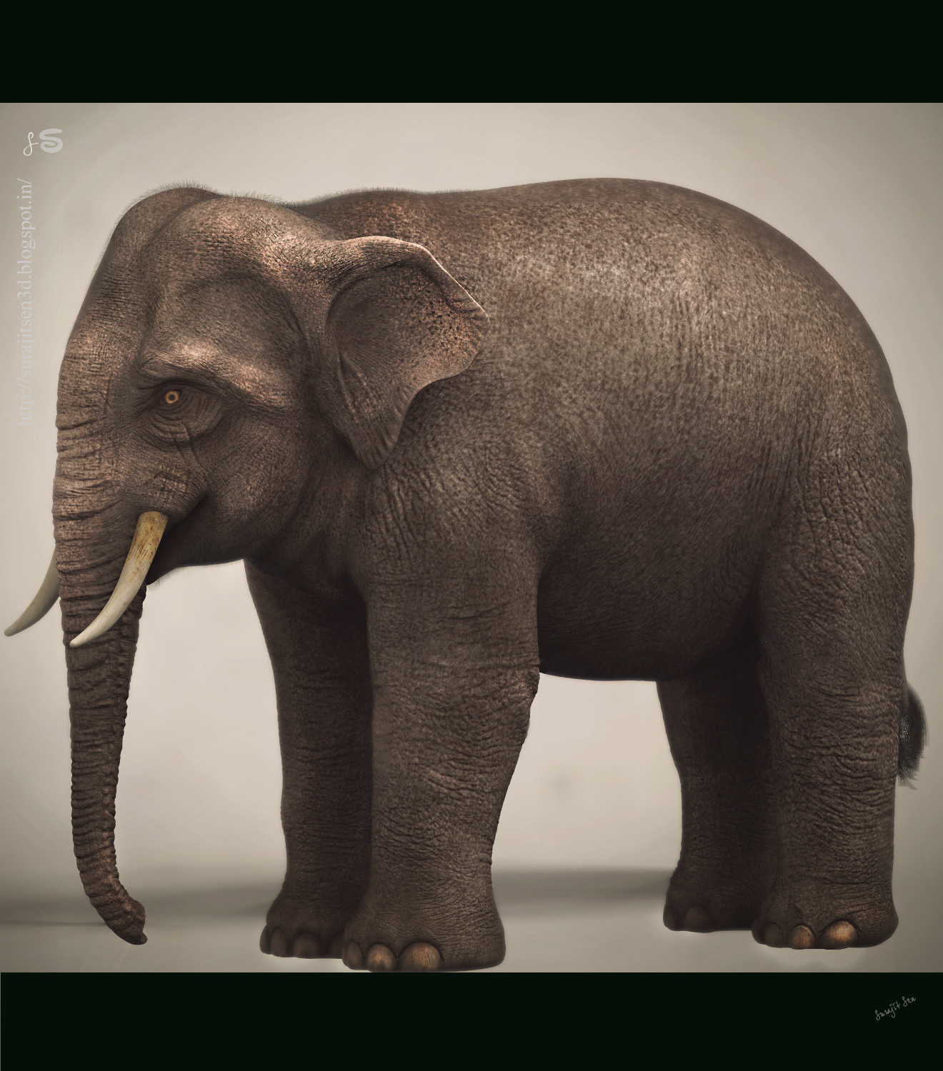 Asian_Elephant_Surajit_Sen_L.jpg