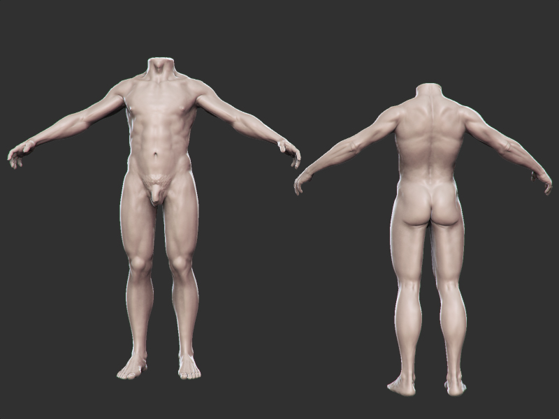 Anatomy 02.jpg
