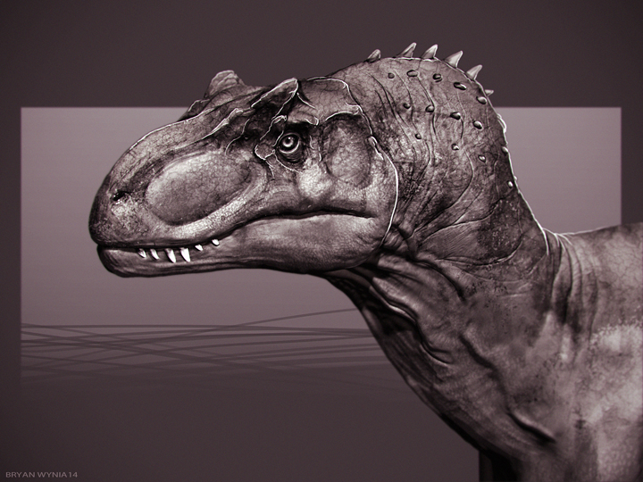 Allosaurus Study_Web.jpg