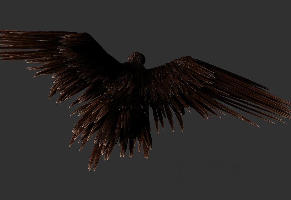 Eagle-test-9.jpg
