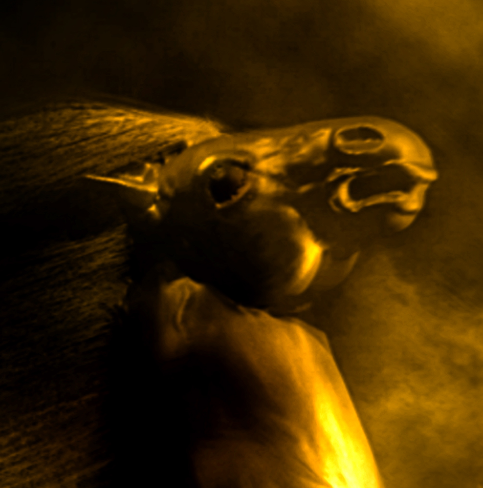 ARMORED-HORSE-RIDER-19.jpg