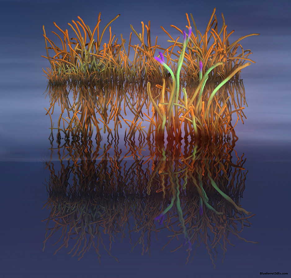 reflection22a.jpg