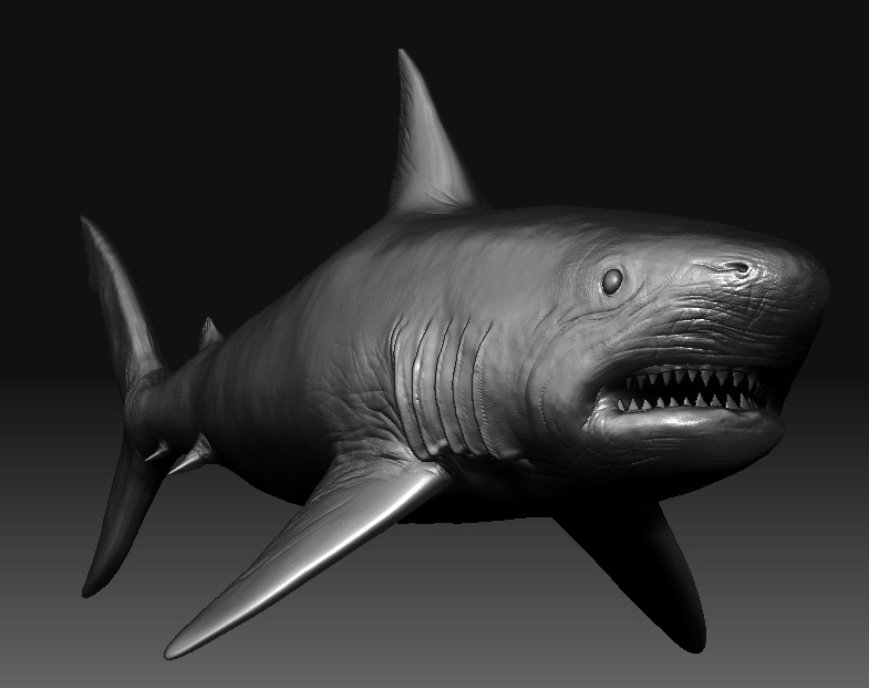 meg4.jpg