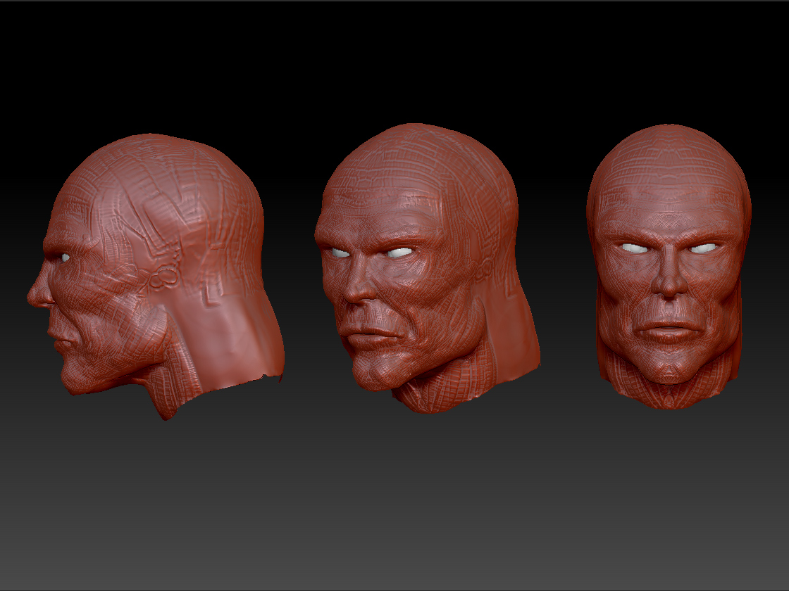 HEAD.jpg