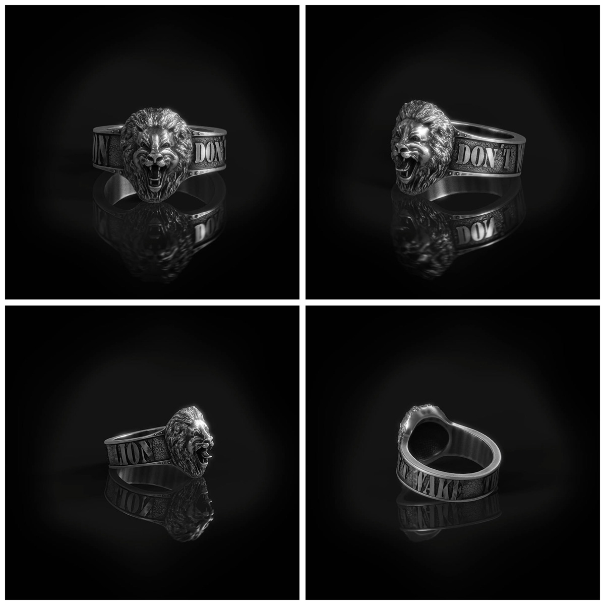 Lion Ring by Oliver Kieser 2016_low.jpg