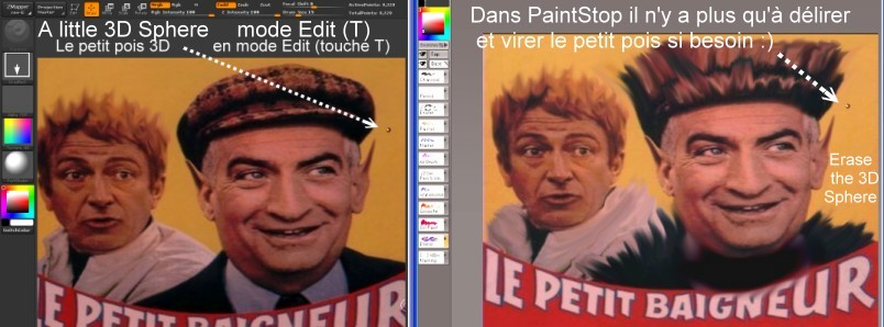 petit_pois.jpg