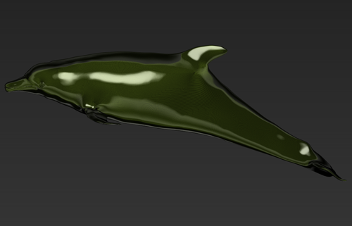 dolphin2.png