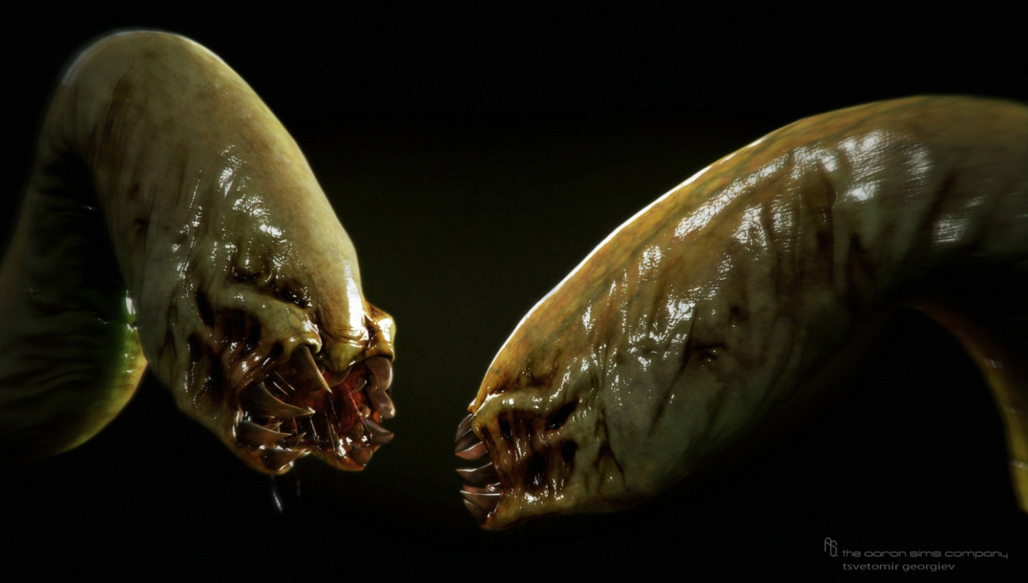worm-(1)-7752161300.jpg