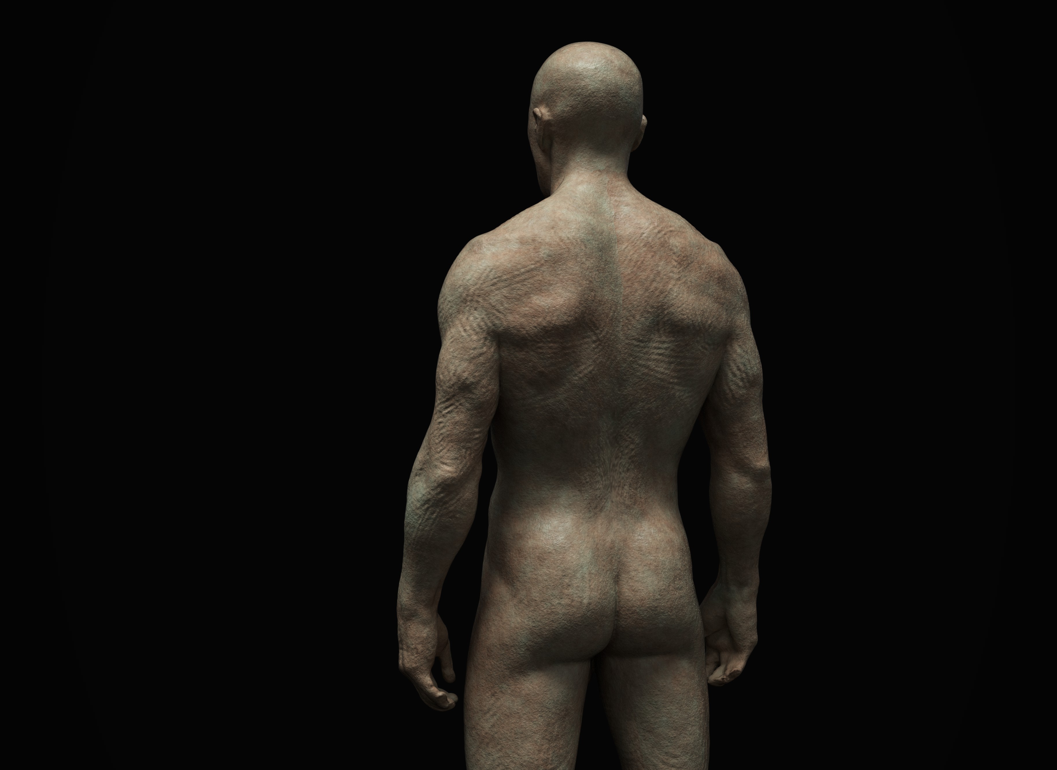 Anatomy7.jpg