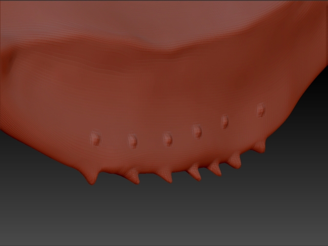 Displacement_005.jpg