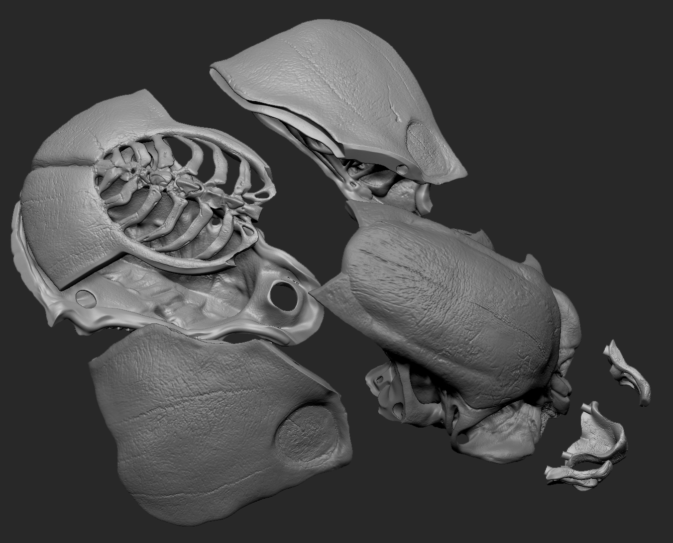 CHA_AlienSkull_20150303_PrintFile_ExplodedView_3QtrTop_DP.jpg