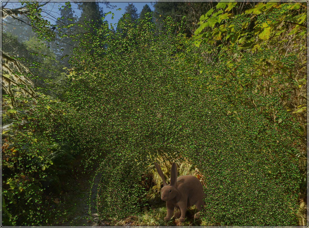 Fractal-Bush.jpg
