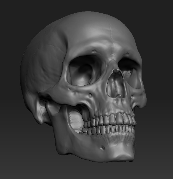 corpse_skull_9.jpg
