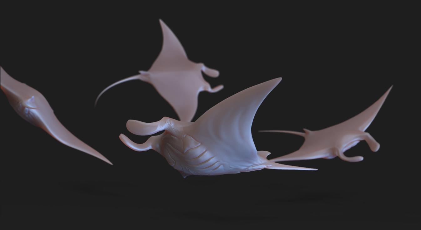 HammerManta.jpg