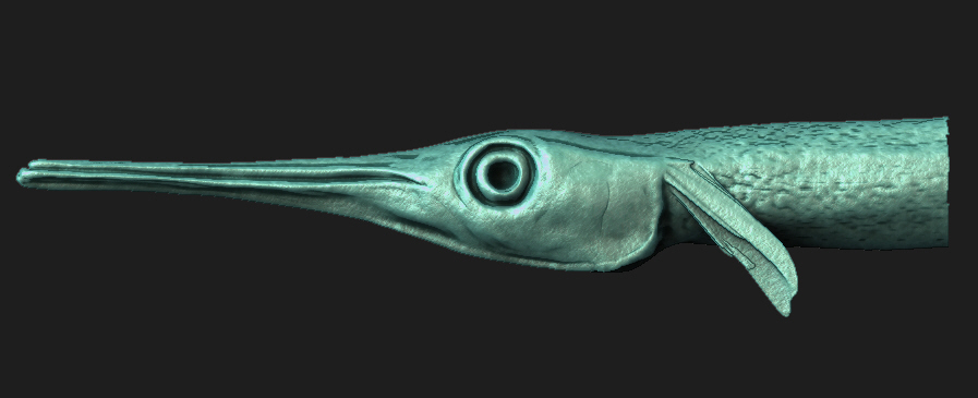 render 2 modify.jpg