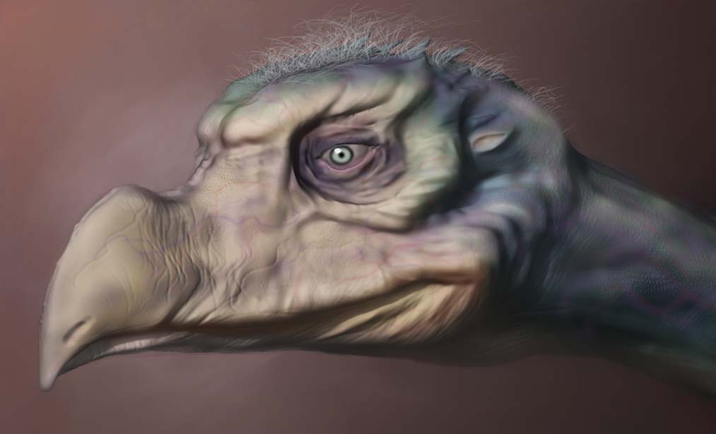 3Skeksi-final-small.jpg