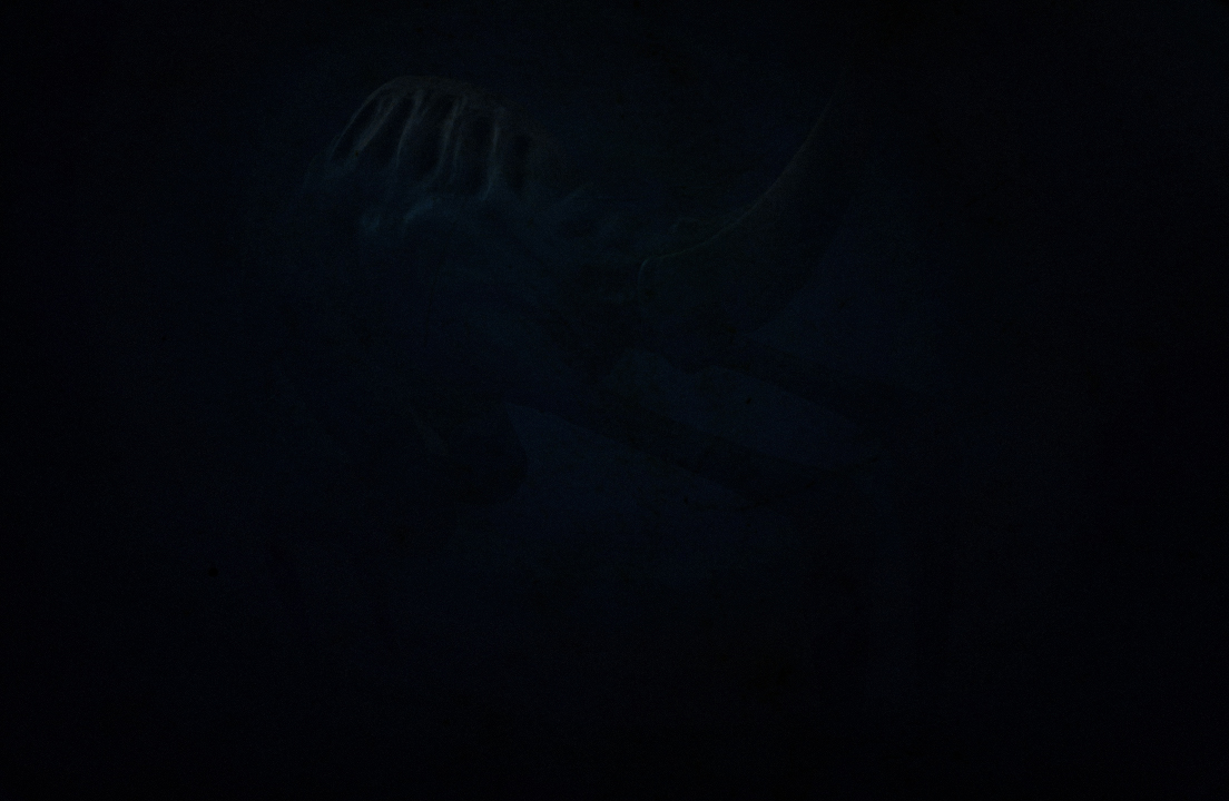 NewSpeciesDeepLuckyShot_oldPhotoLook.jpg
