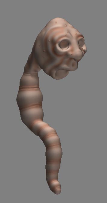 Worm texture perspective.jpg